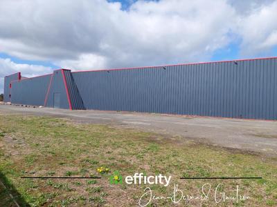 Bureau - 1 366 m² - 9 pièces