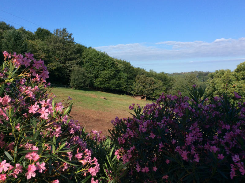 Maison - 163 m² - 8 pièces