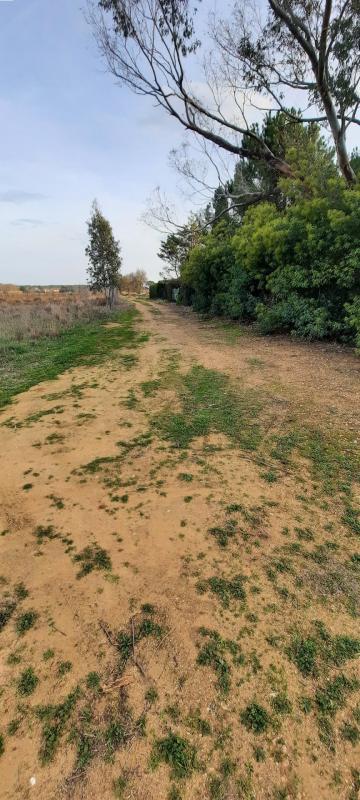 Terrain agricole - 4 373 m²