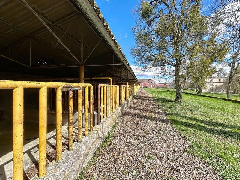 Château - 250 m² - 16 pièces