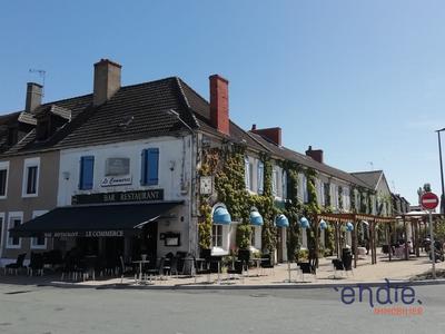 Maison bourgeoise - 570 m² - 17 pièces