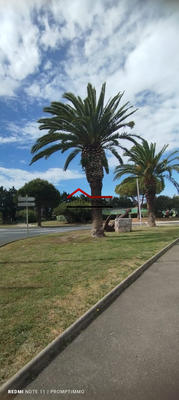 Appartement - 75 m² - 4 pièces