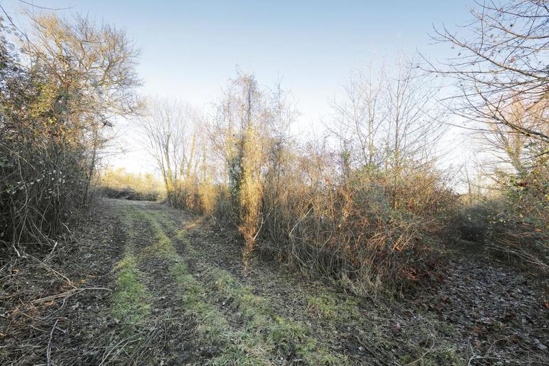 Terrain - 15 113 m²