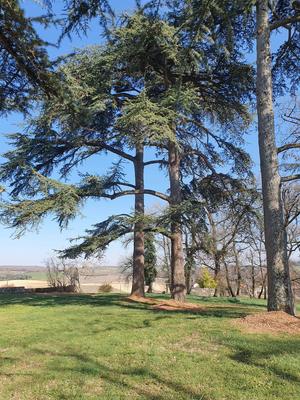 Maison - 335 m² - 14 pièces