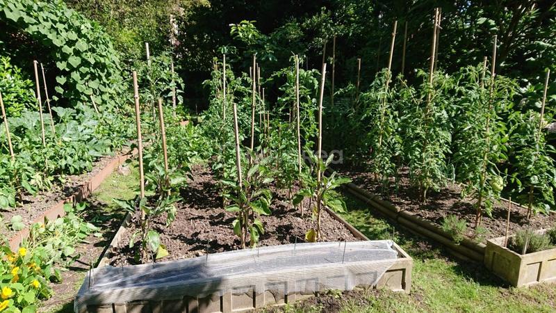 Villa - 259 m² - 11 pièces