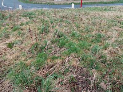 Terrain constructible - 637 m²