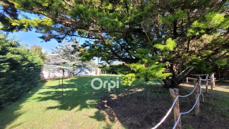 Terrain constructible - 367 m²