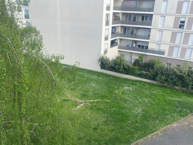 Appartement - 60 m² - 3 pièces
