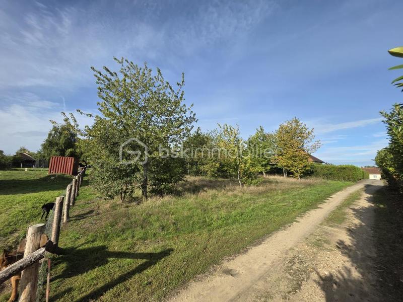 Terrain constructible - 1 831 m²