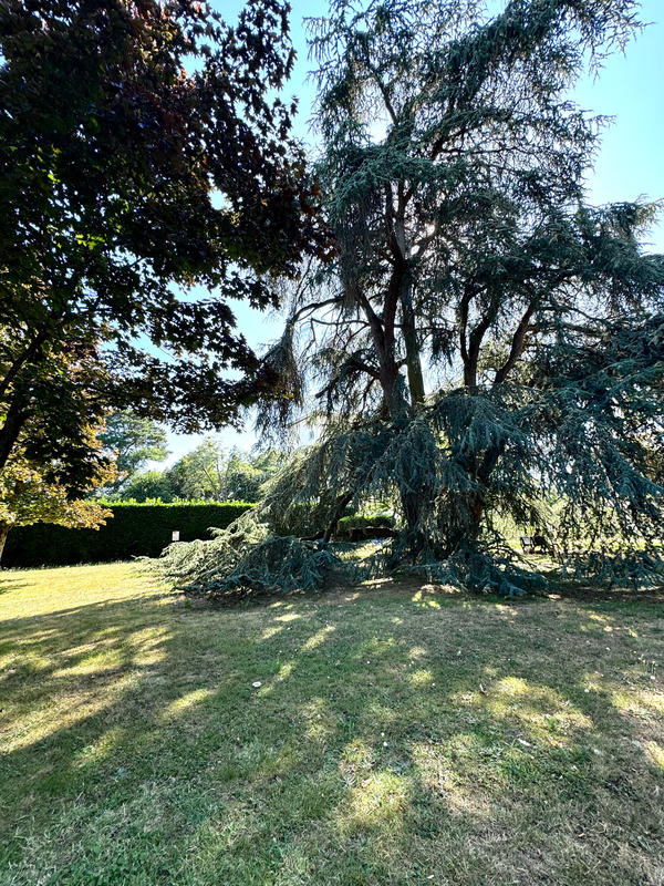 Appartement - 98 m² - 5 pièces