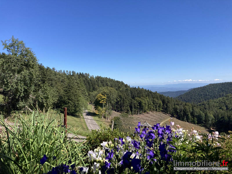 Duplex - 80 m² - 4 pièces