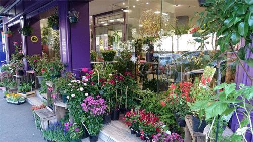 Laurent B. Artisan Fleuriste