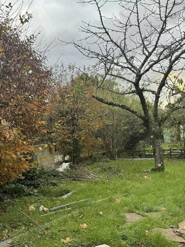 Studio - 25 m² - 1 pièce