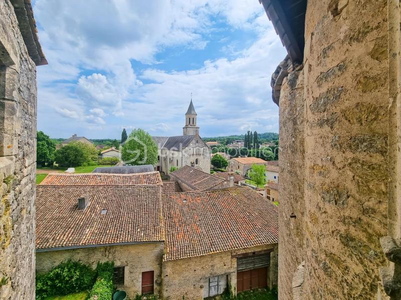 Château - 500 m² - 10 pièces