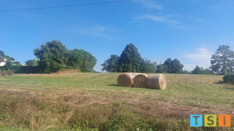 Terrain constructible - 5 900 m²