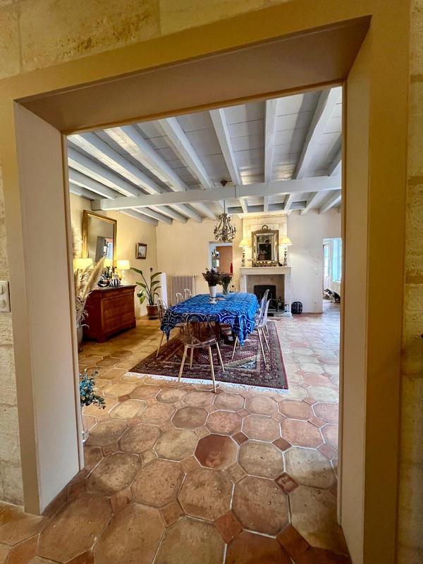 Château - 550 m² - 14 pièces