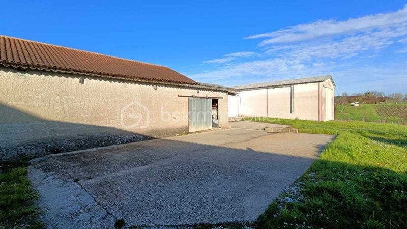 Propriété viticole - 472 m² - 14 pièces