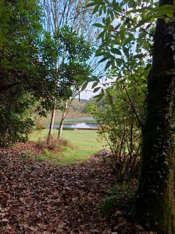 Maison - 285 m² - 11 pièces