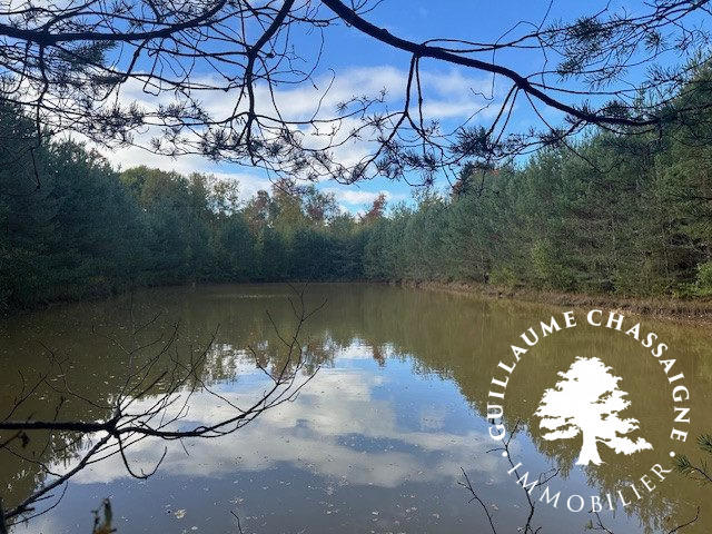 Terrain - 15 870 m²