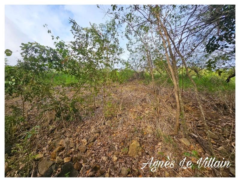 Terrain constructible - 1 059 m²