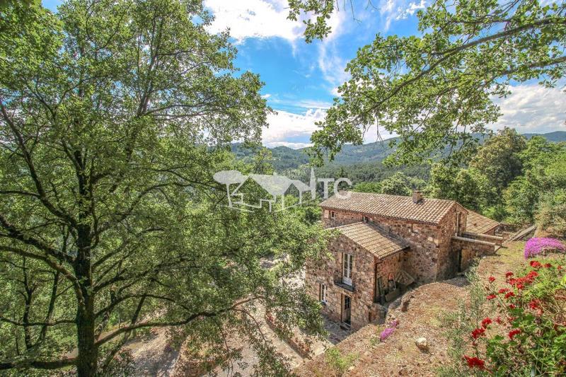 Maison en pierre - 296 m² - 7 pièces