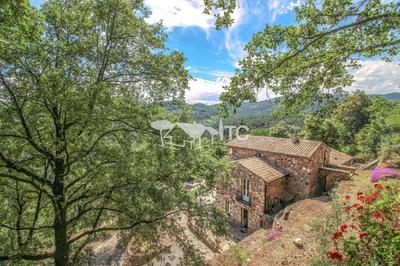 Maison en pierre - 296 m² - 7 pièces