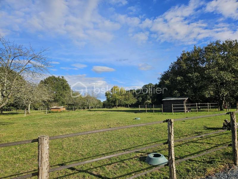 Propriété - 266 m² - 12 pièces