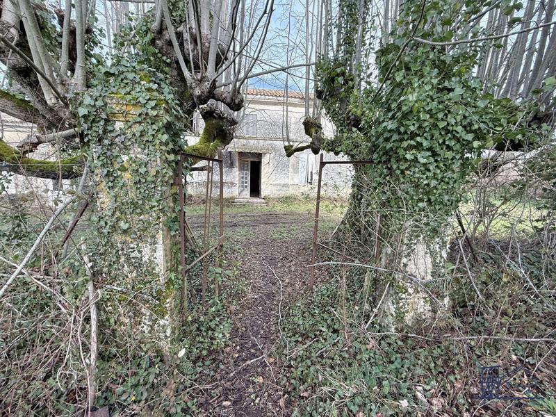 Maison ancienne - 200 m² - 6 pièces