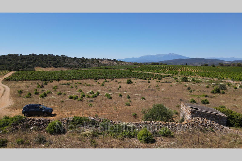 Terrain agricole - 10 255 m²