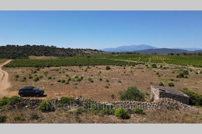 Terrain agricole - 10 255 m²