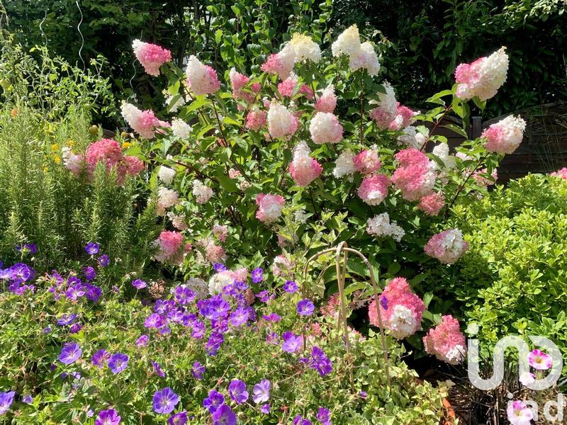 Maison - 123 m² - 5 pièces