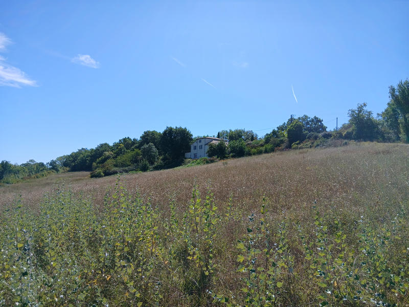 Maison - 785 m² - 15 pièces