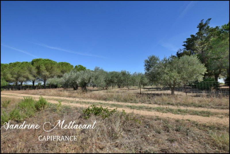 Terrain de loisirs - 9 730 m²