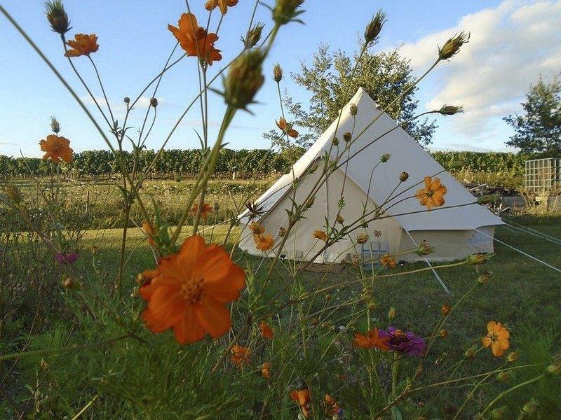 Propriété - 299 m² - 15 pièces