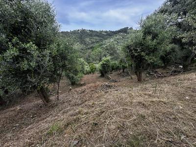 Terrain - 2 450 m²