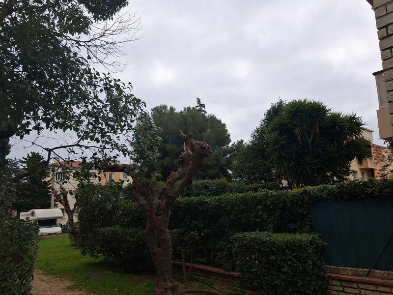 Appartement - 34 m² - 1 pièce