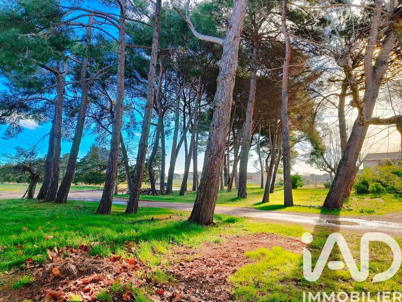 Terrain agricole - 1 140 000 m²