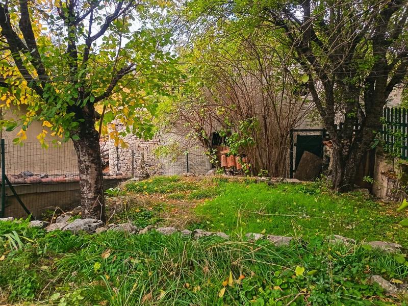 Maison de village - 77 m² - 3 pièces