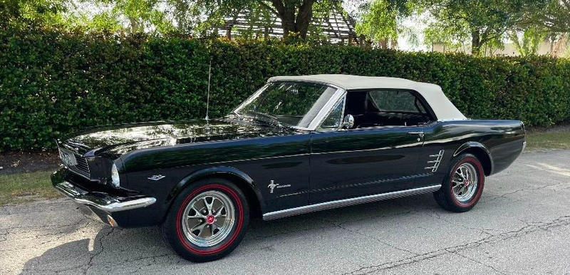 Ford Mustang Sylc Export