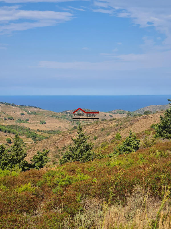 Terrain agricole - 48 000 m²