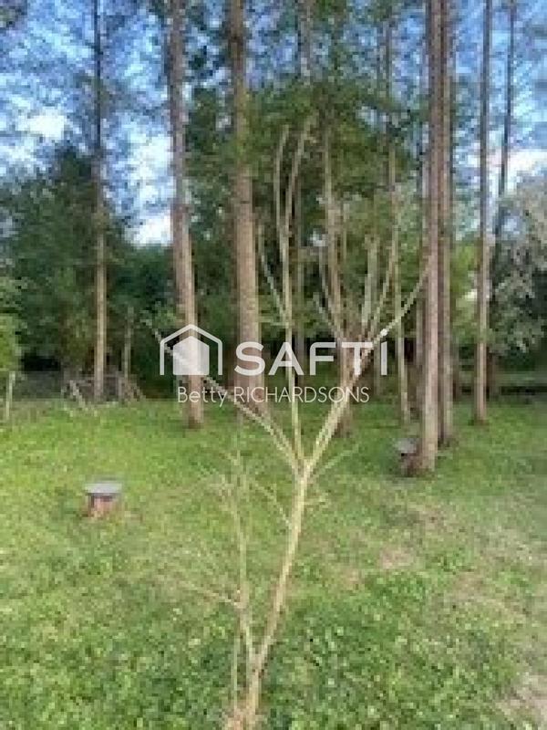 Maison - 200 m² - 11 pièces