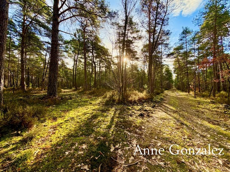 Maison - 180 m² - 6 pièces