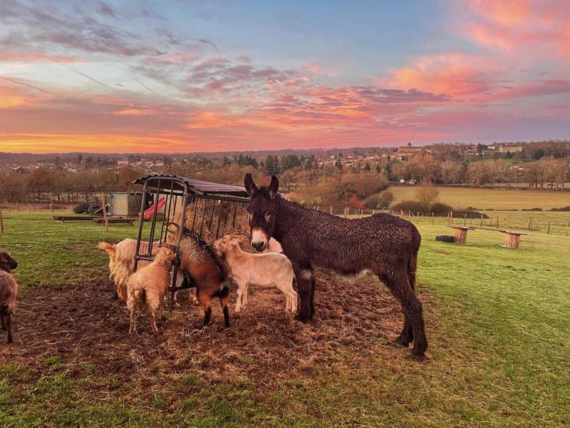 Propriété - 1 269 m² - 45 pièces