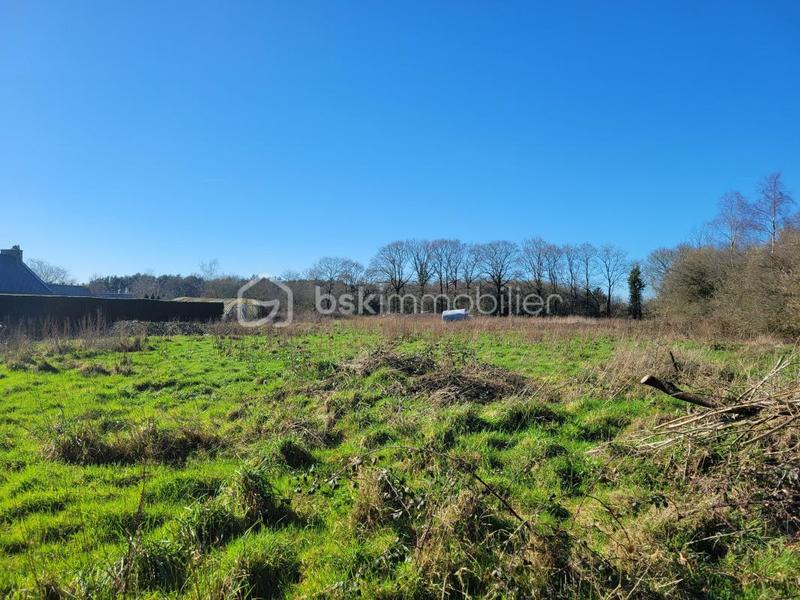 Maison en pierre - 152 m² - 8 pièces