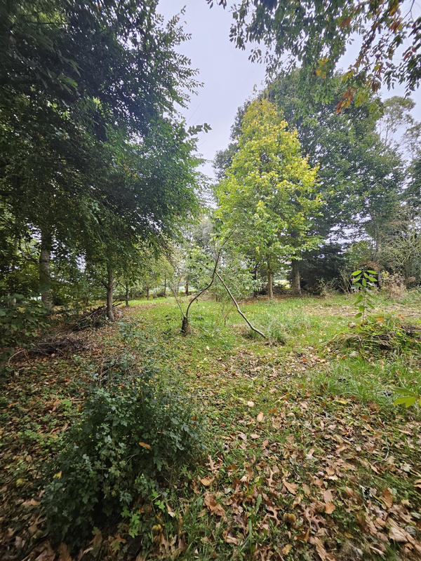 Maison - 126 m² - 6 pièces