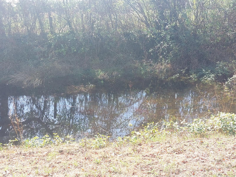 Viager - Maison - 200 m² - 6 pièces