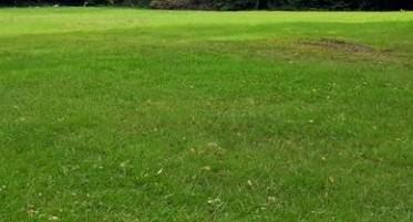 Terrain constructible - 614 m²