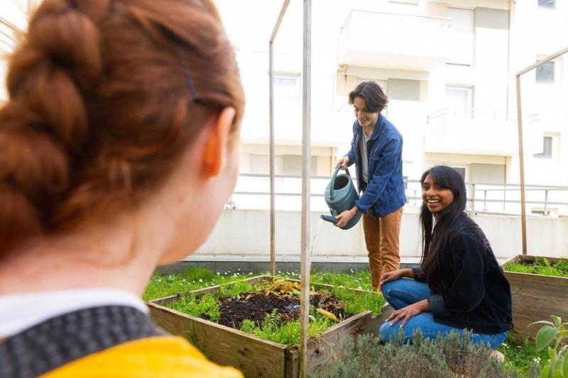 Studio - 17 m² - 1 pièce