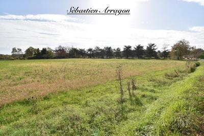 Terrain constructible - 5 781 m²
