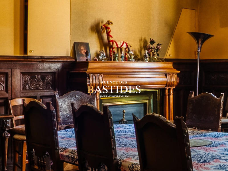 Château - 377 m² - 11 pièces